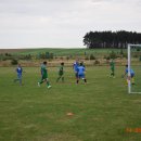 plewis 8